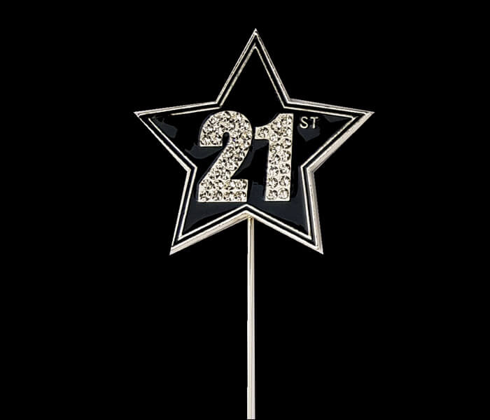 CT-21STAR